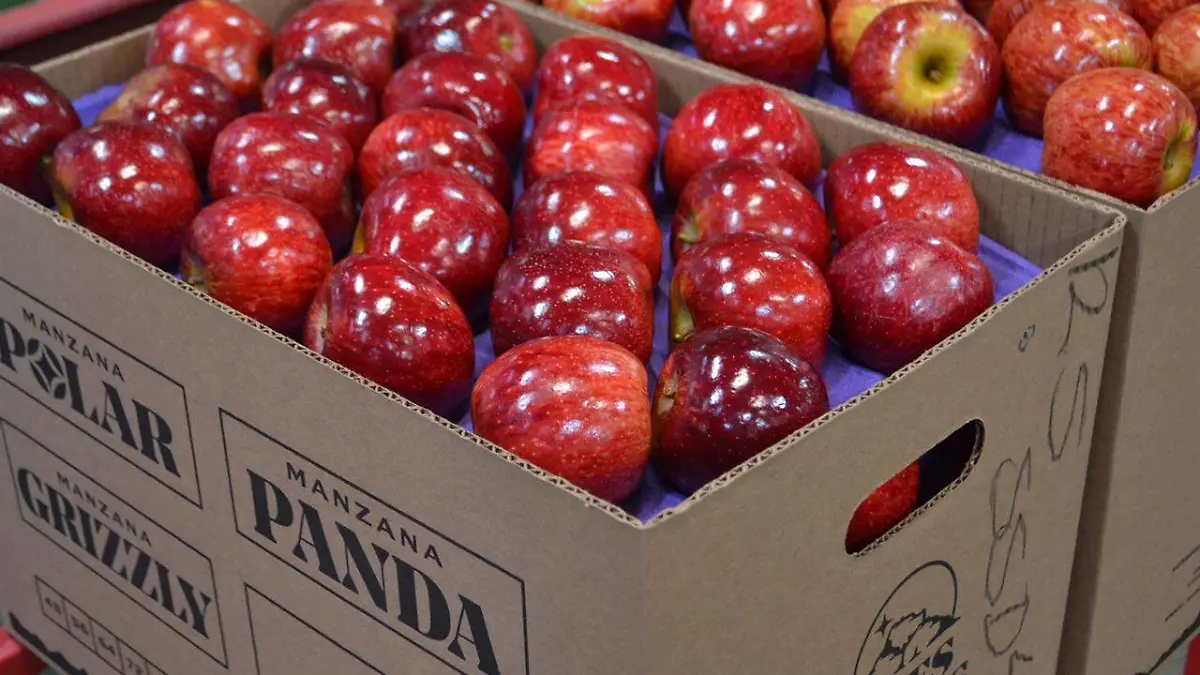 13. La caja de manzana llega a pesar 20 kg